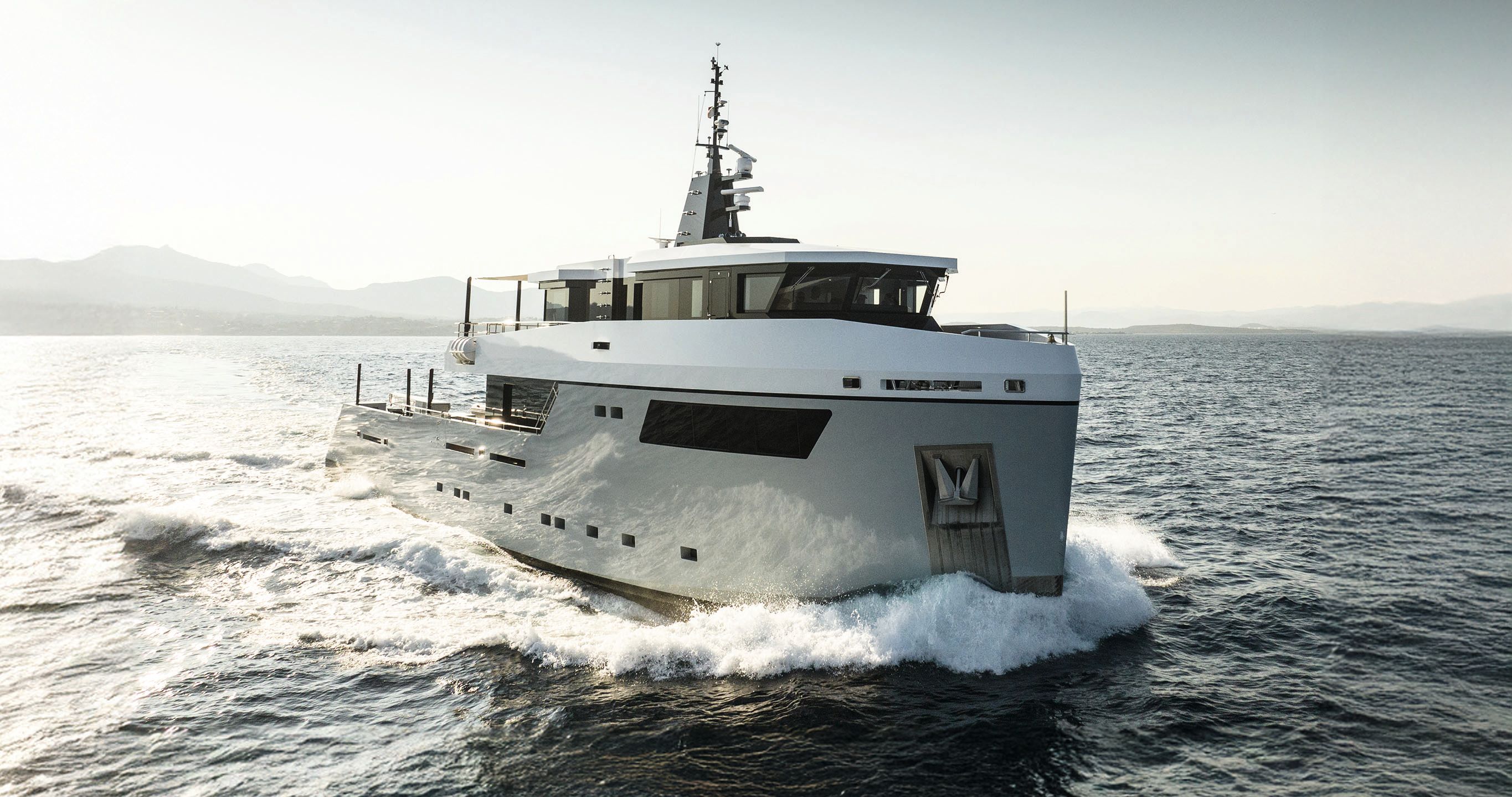 Fox on the water from the front