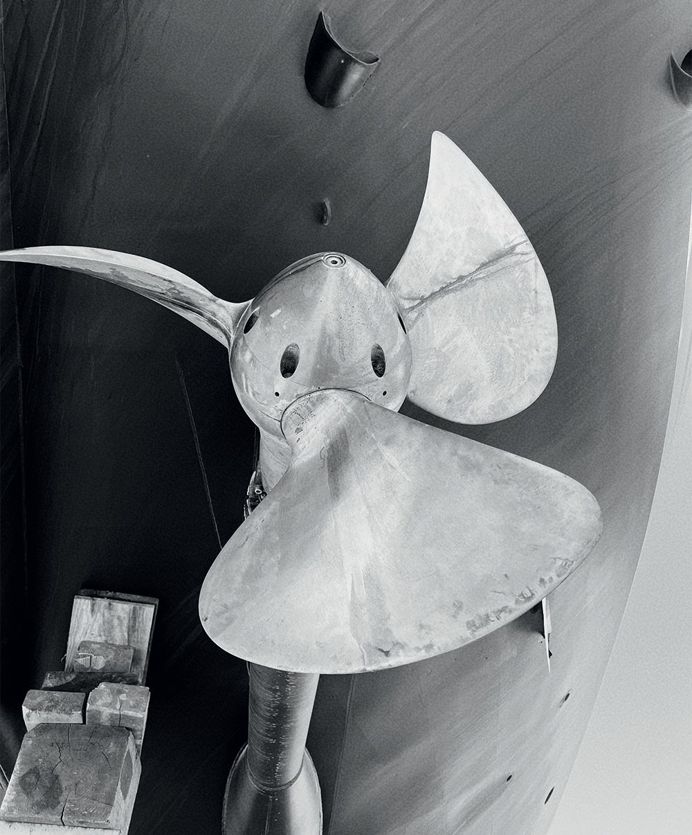 Close-up of a fan on Andromeda la Dea