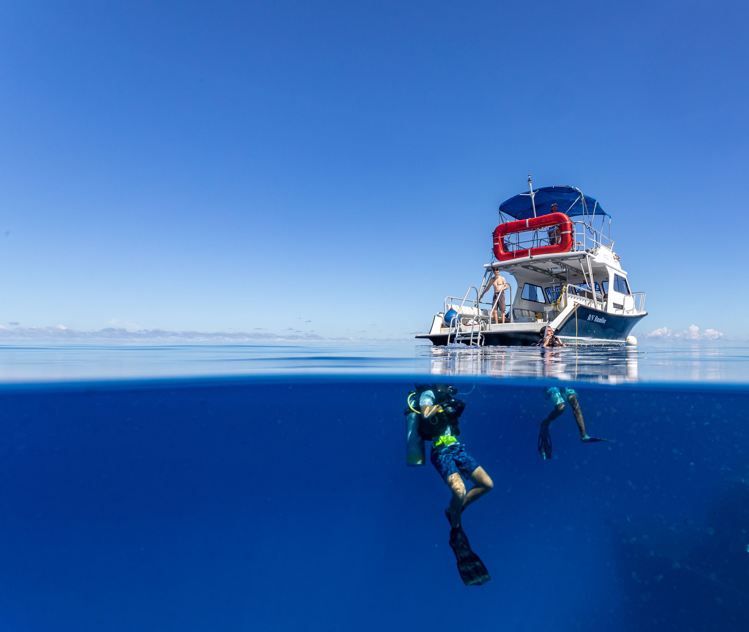 Diver in the water