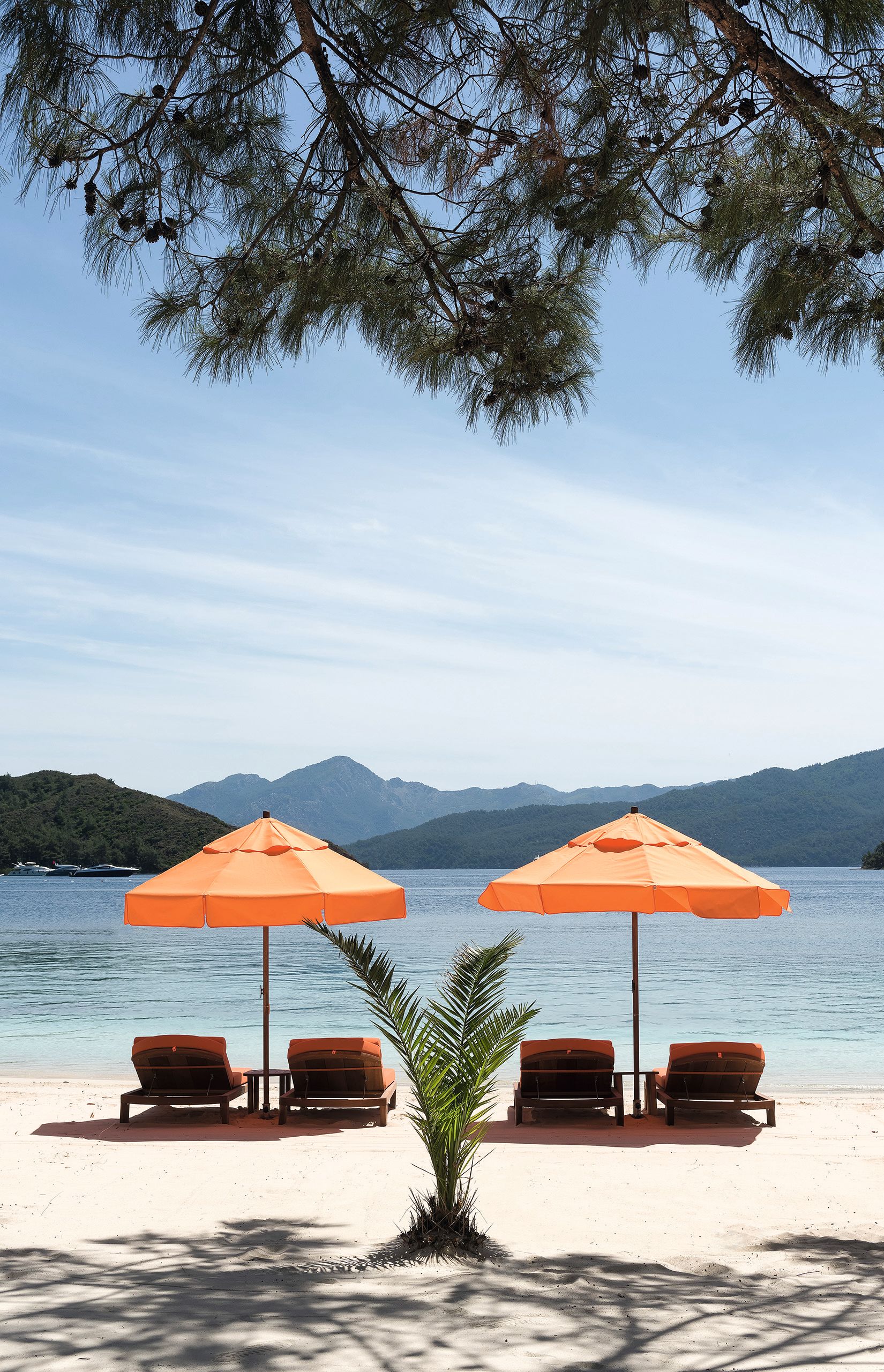 Sun loungers on beach 