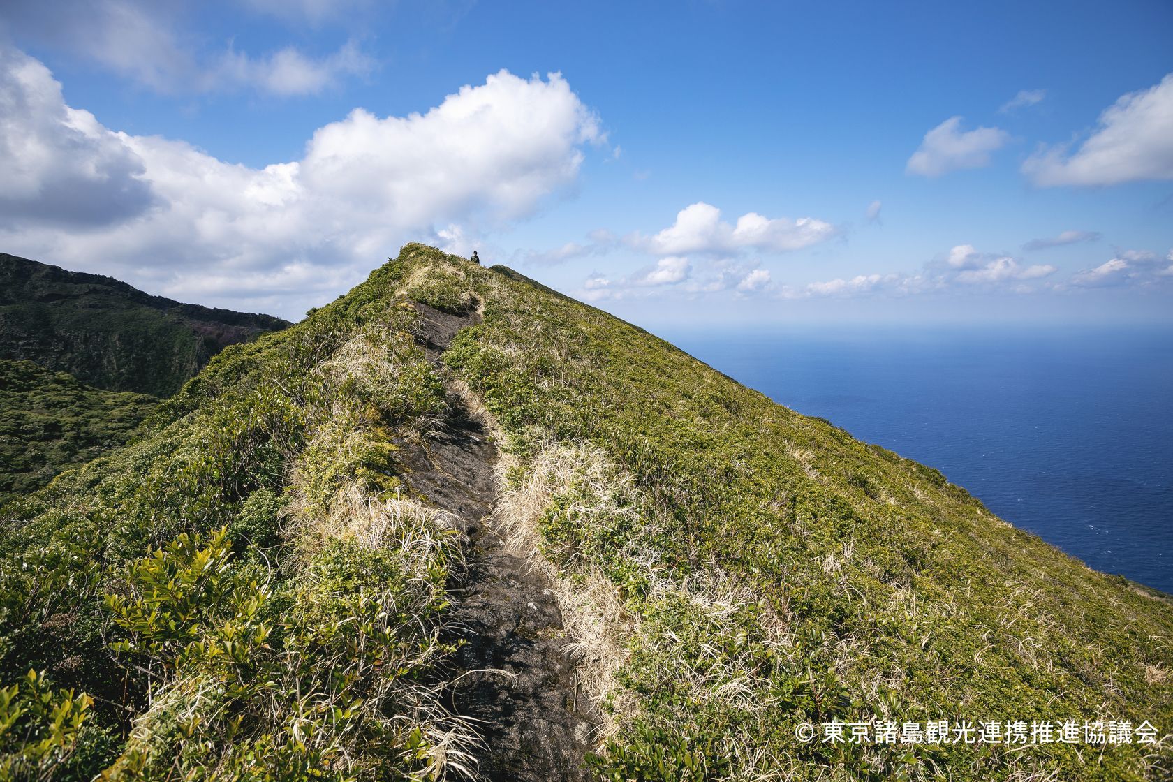 Hachijo Fuji