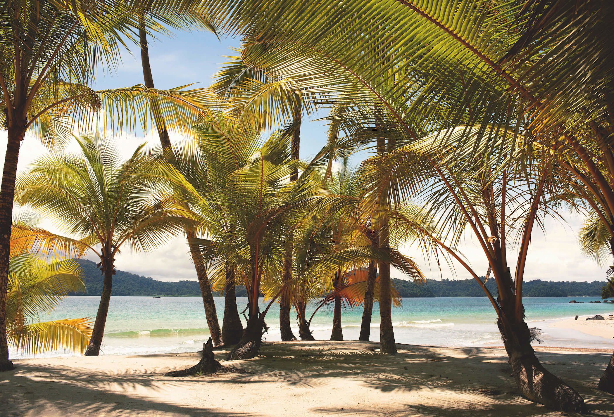 A beach on Isla Rancheria, also known as Coibita
