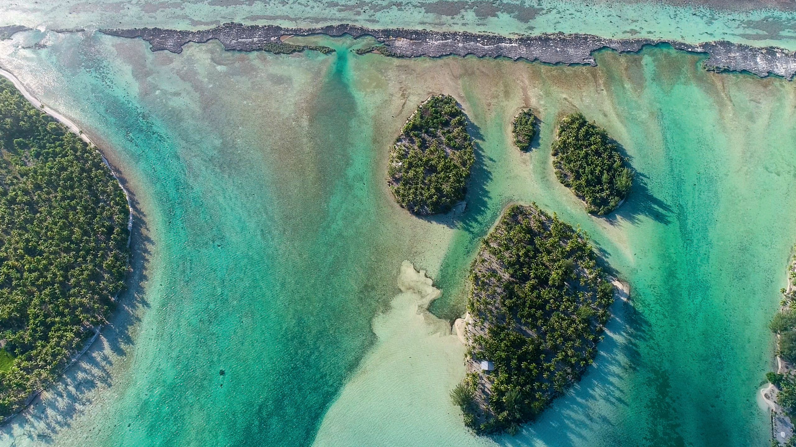 Aerial view of the edge of an island with dark green vegetation and turquoise shallows