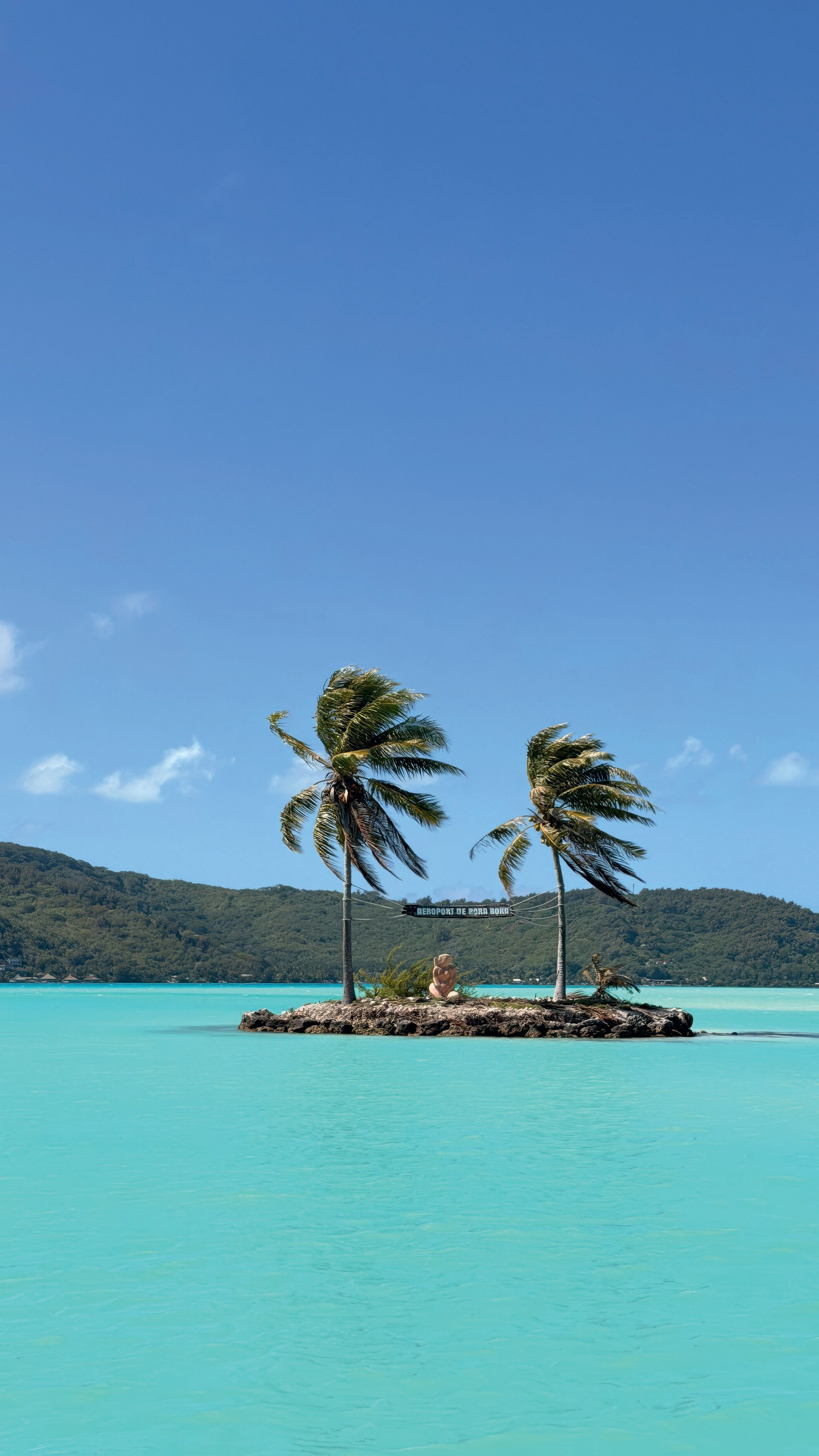 Two palm trees on a small island. The sky behind is bright blue and the water is turquoise