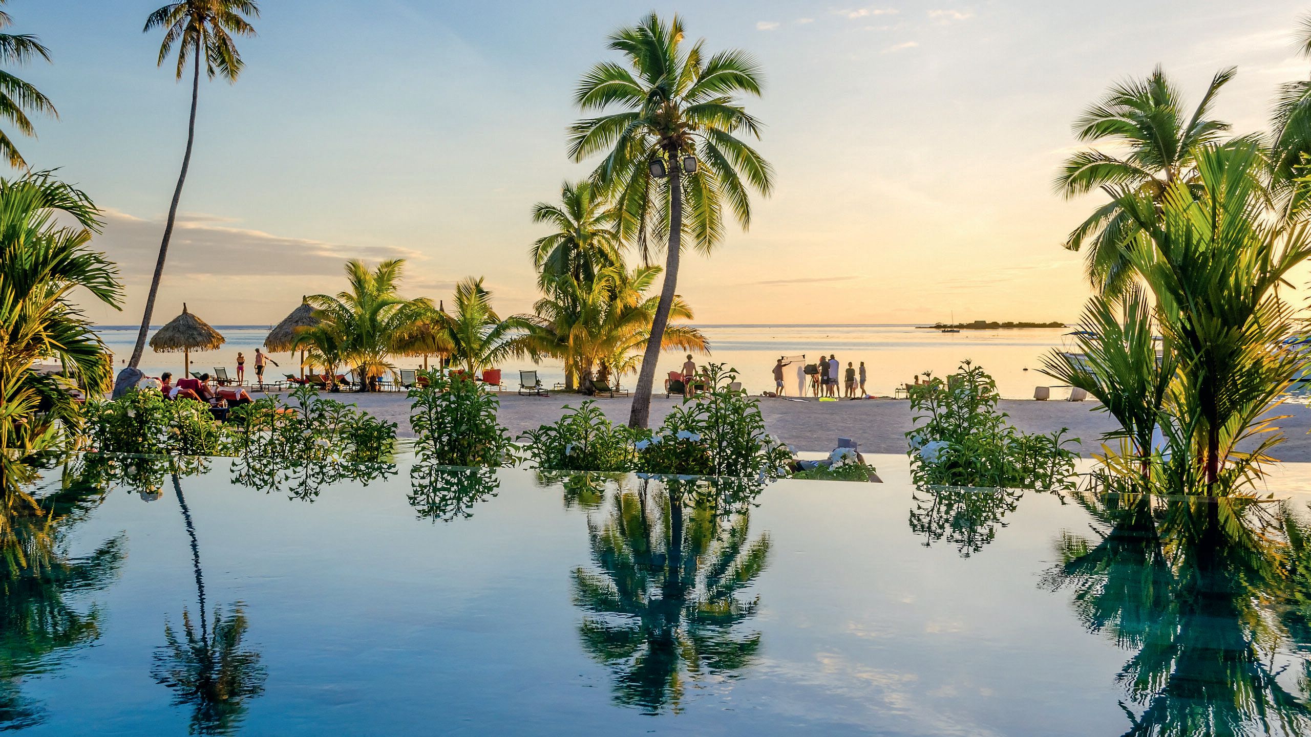 Looking out on to a wide sandy beach fringed with palm trees and straw-topped parasols There are sun loungers on the beach and various groups of people dotted around