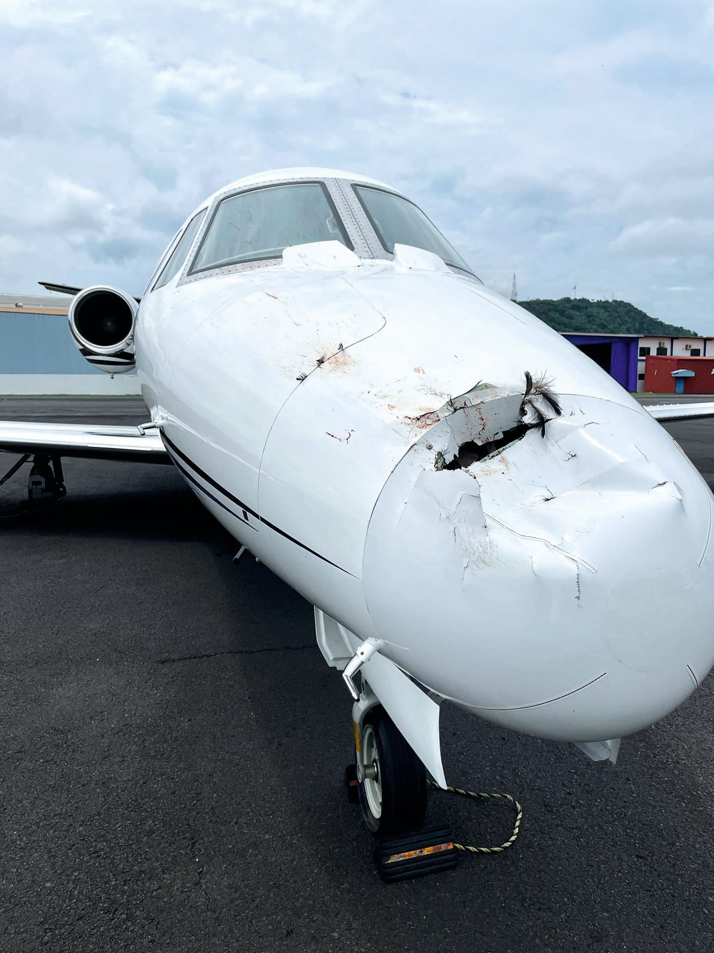 Front view of the nose of the plane with a huge gash in it