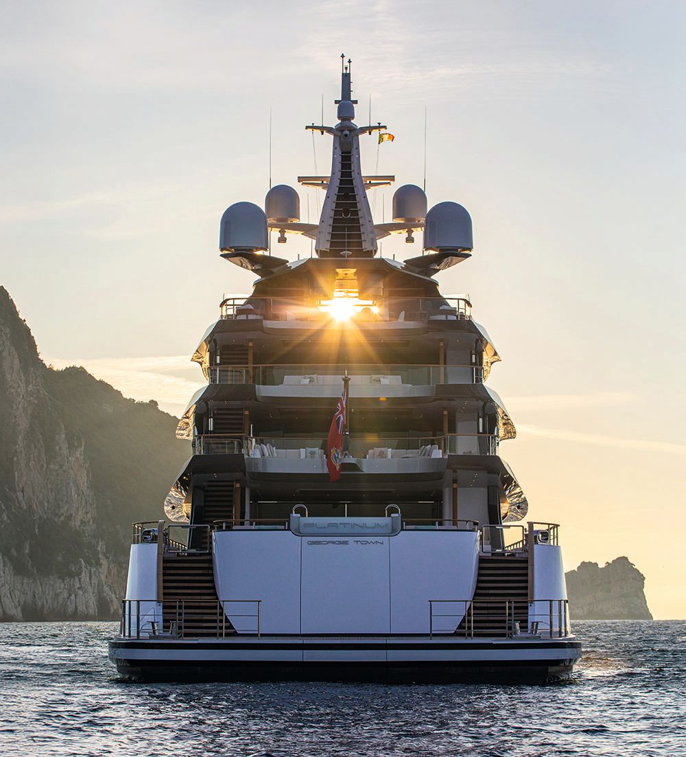 Portrait view of Platinum from the back