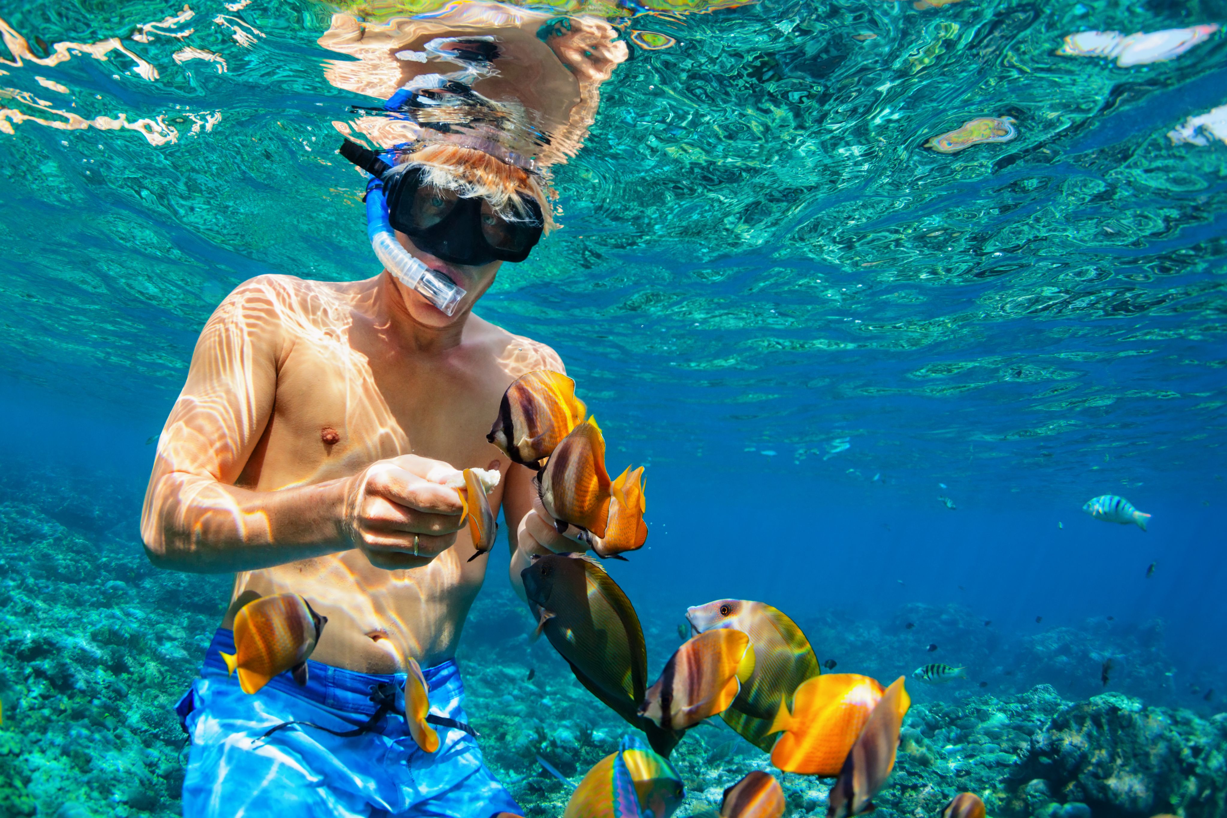 Snorkelling in the Bahamas