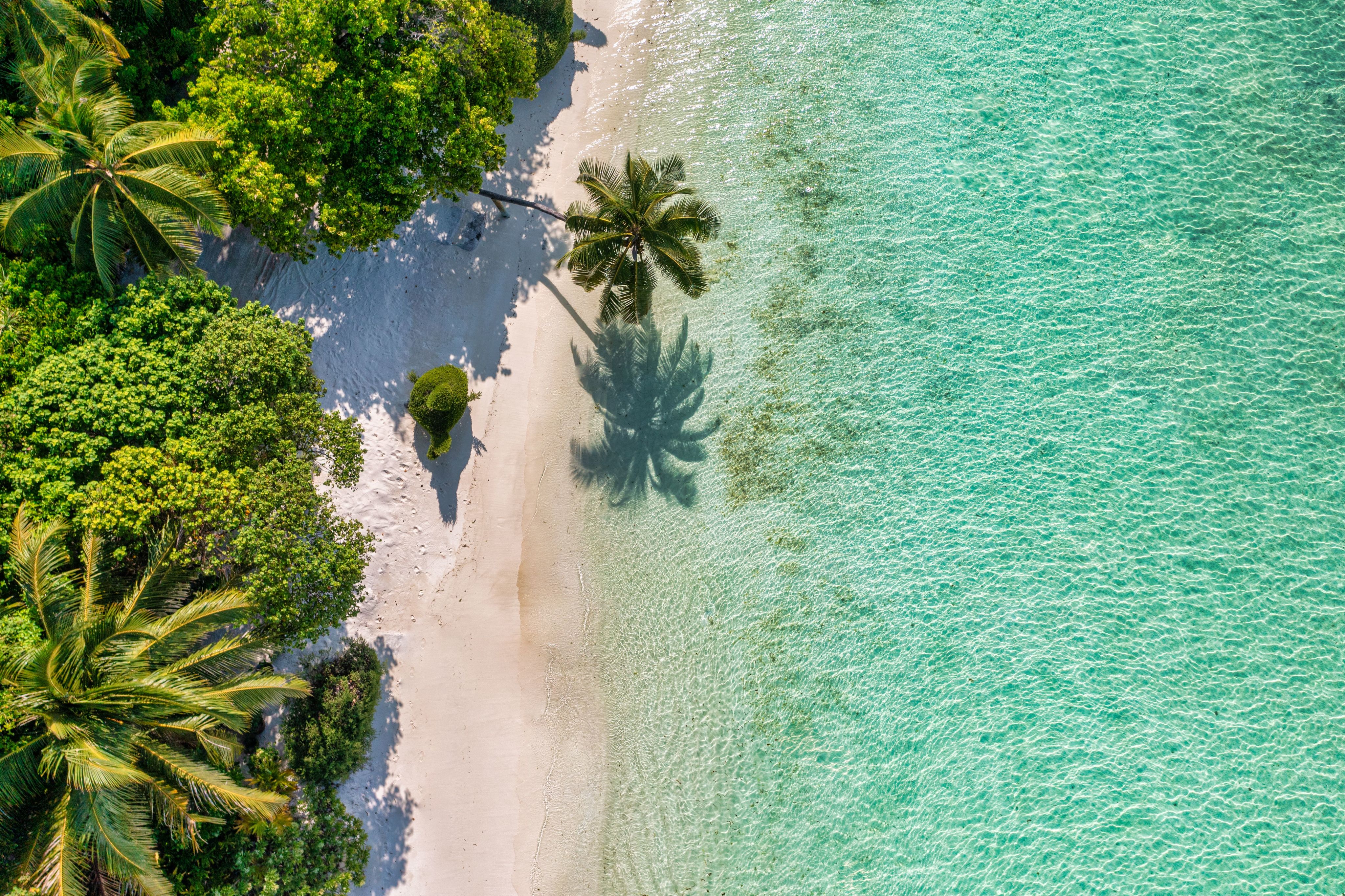 Maldives beach