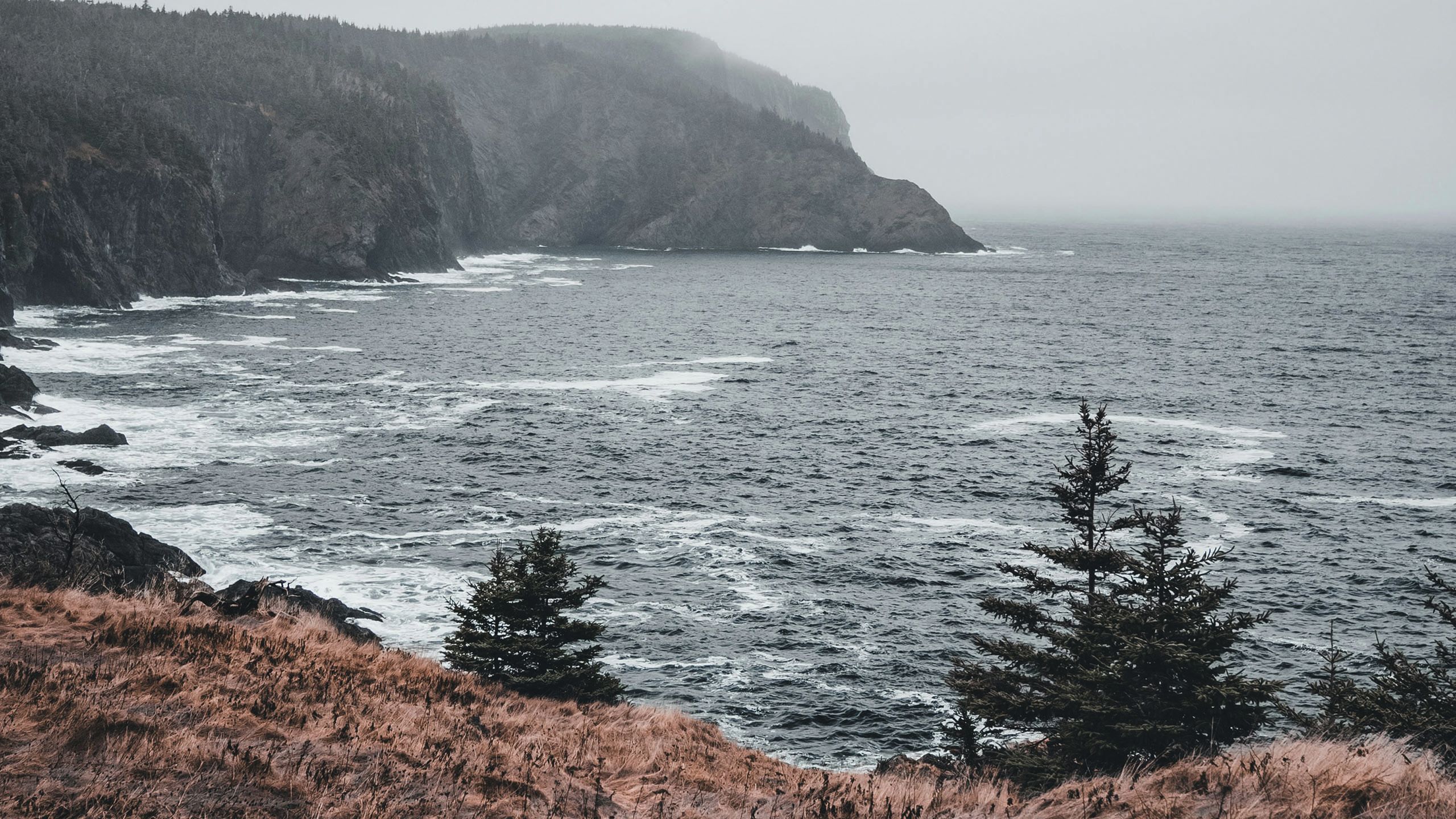 Wide shot of Nova Scotia