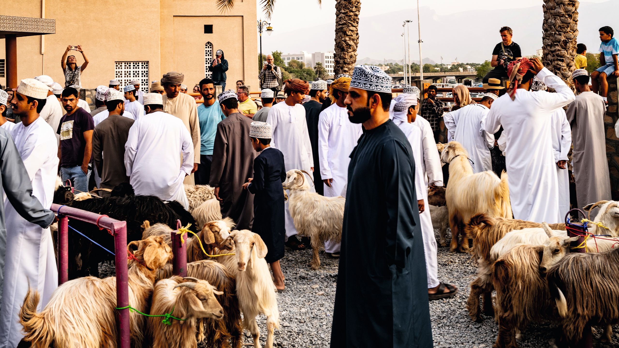 Busy marketplace full of men in traditional cloths. There are many goats tied up