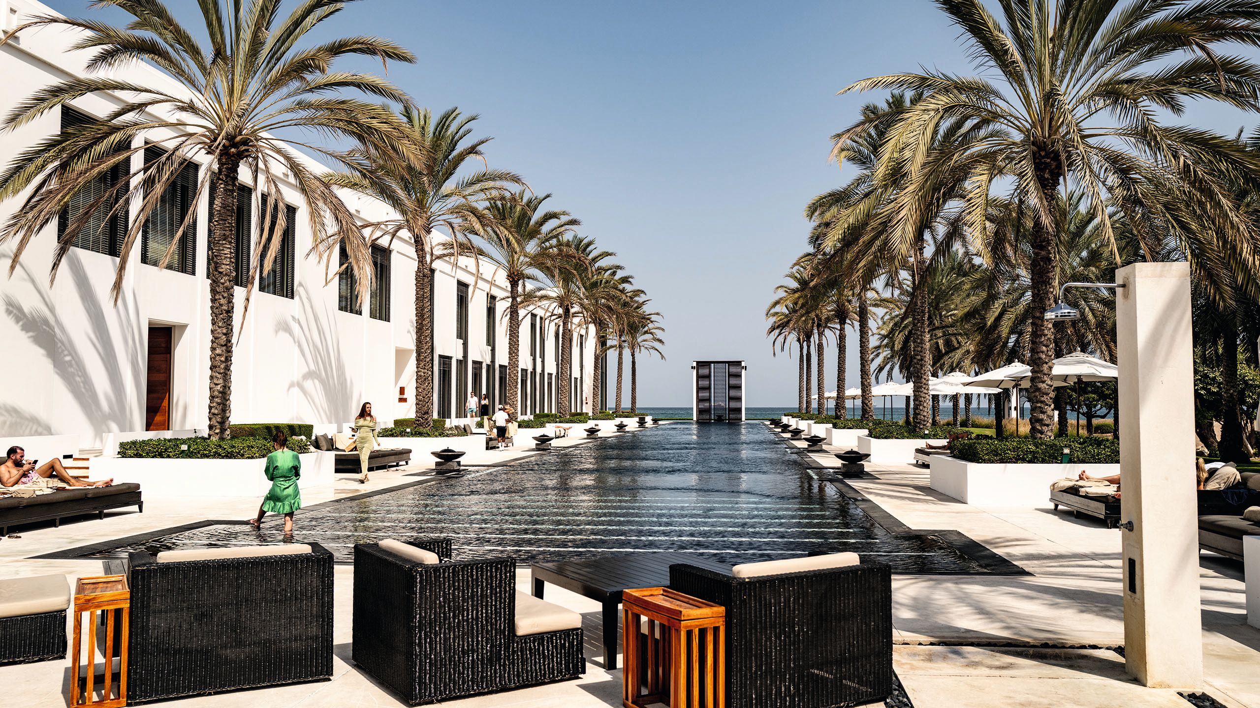 A long infinity-style swimming pool flanked on either side by palm trees. On both sides of the pool are sun beds and loungers