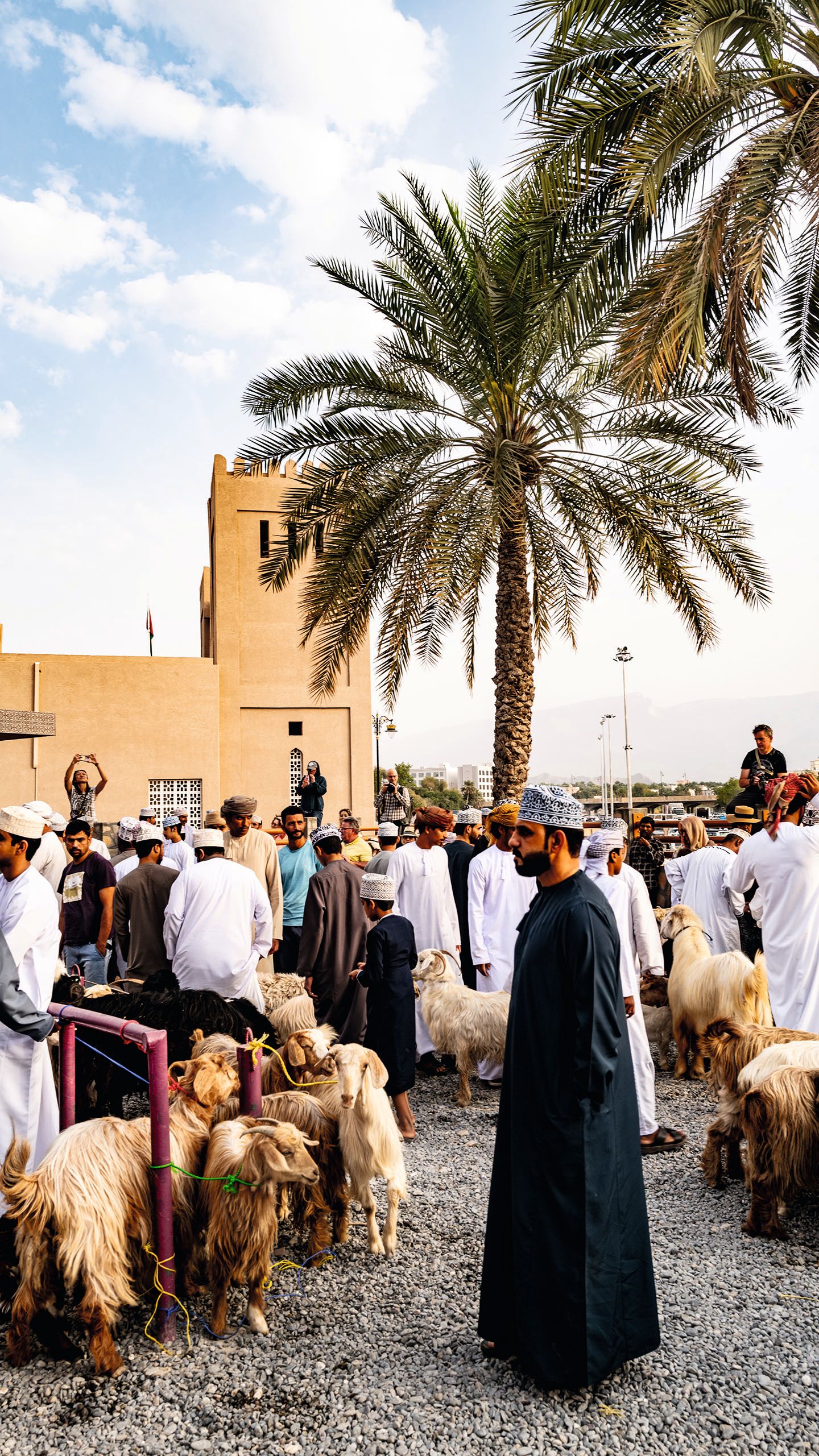 Busy marketplace full of men in traditional cloths. There are many goats tied up