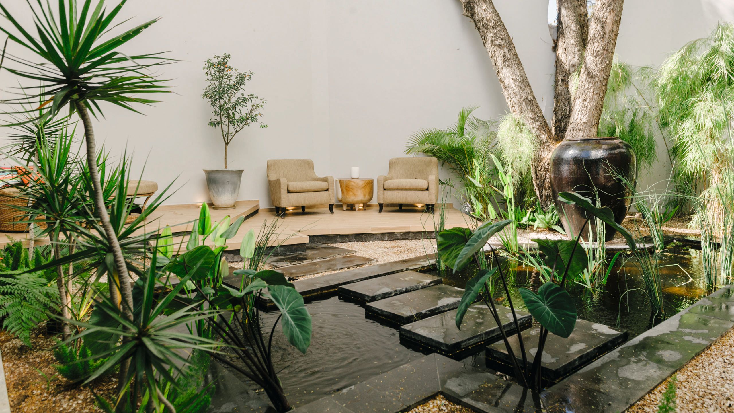 An exterior view of a garden area at the hotel. There are tropical green plants and black stepping stones over a water feature leading to two beige armchairs
