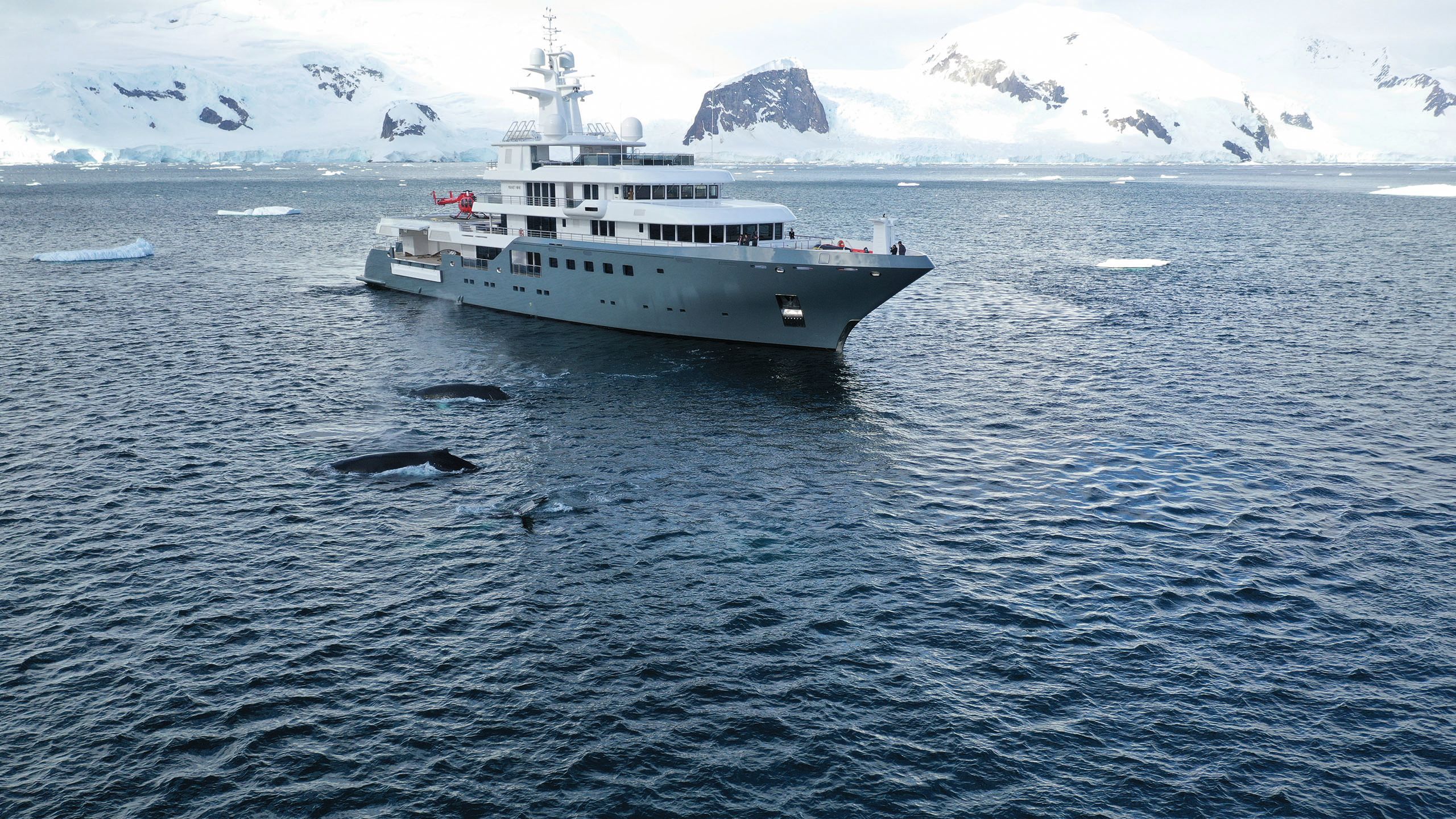 Planet Nine on icy waters - whales are diving out of the sea