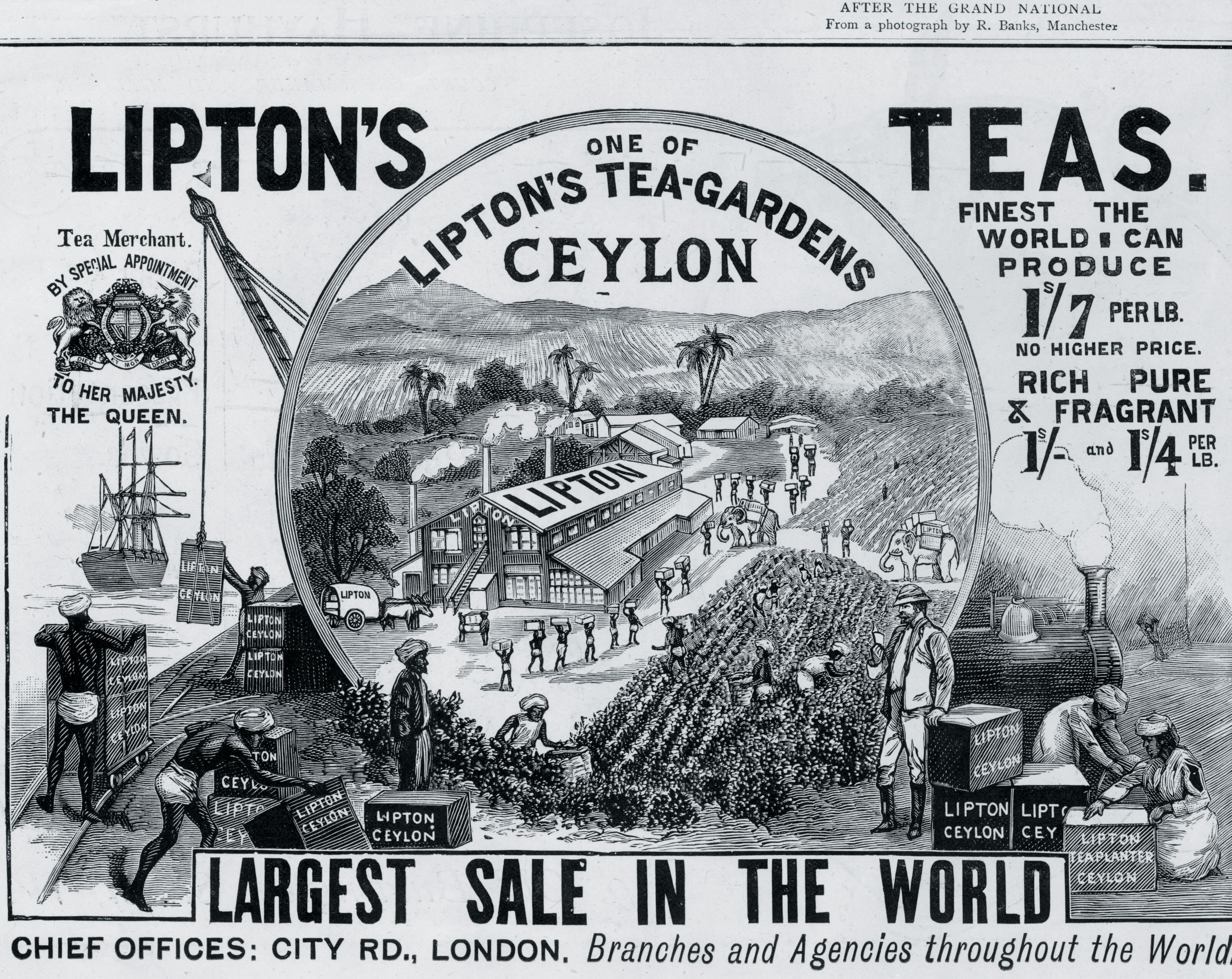 Lipton tea advertisement