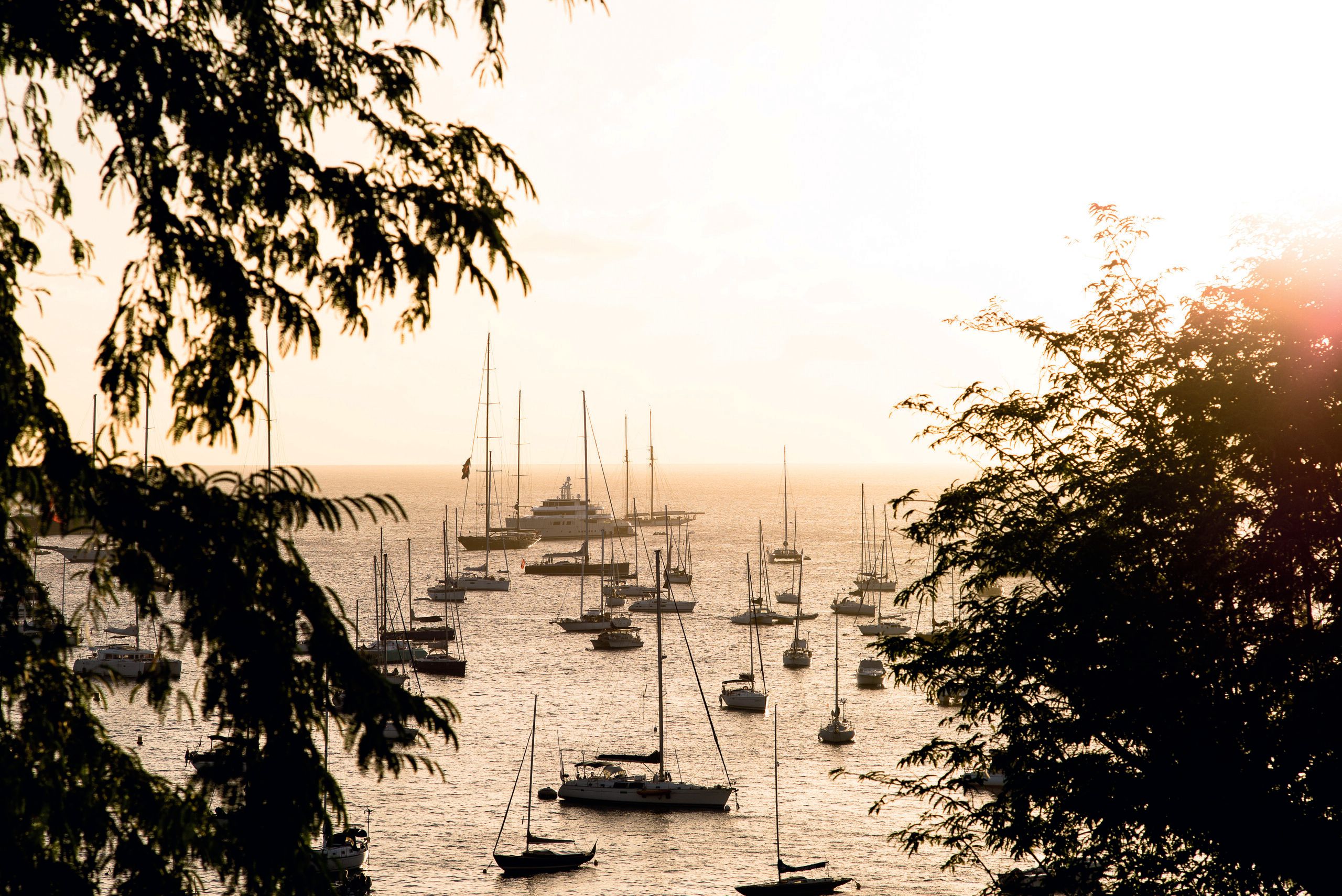 Yachts in Gustavia Harbour