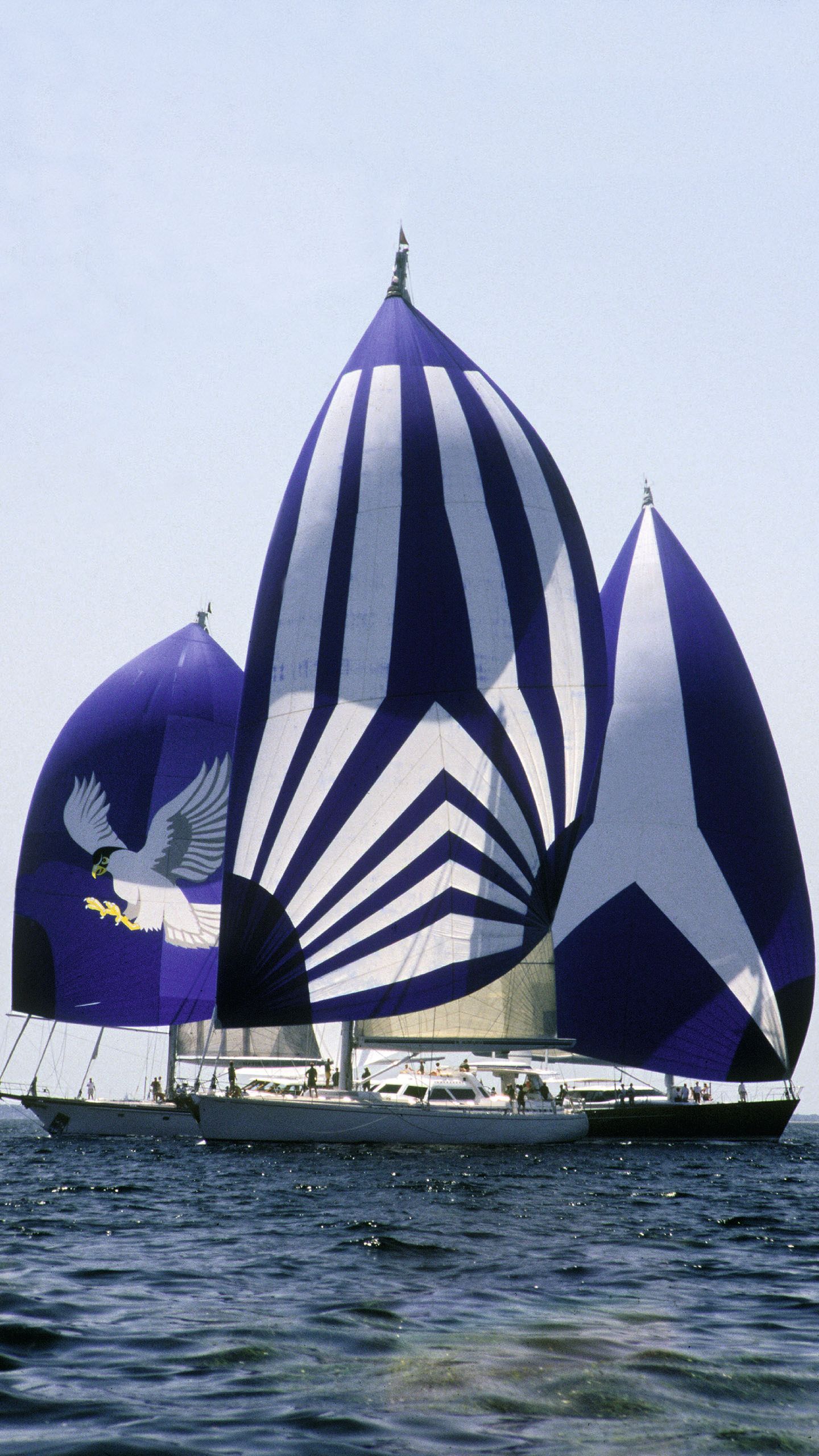 Three sail boats with dark blue sails and white motifs on them