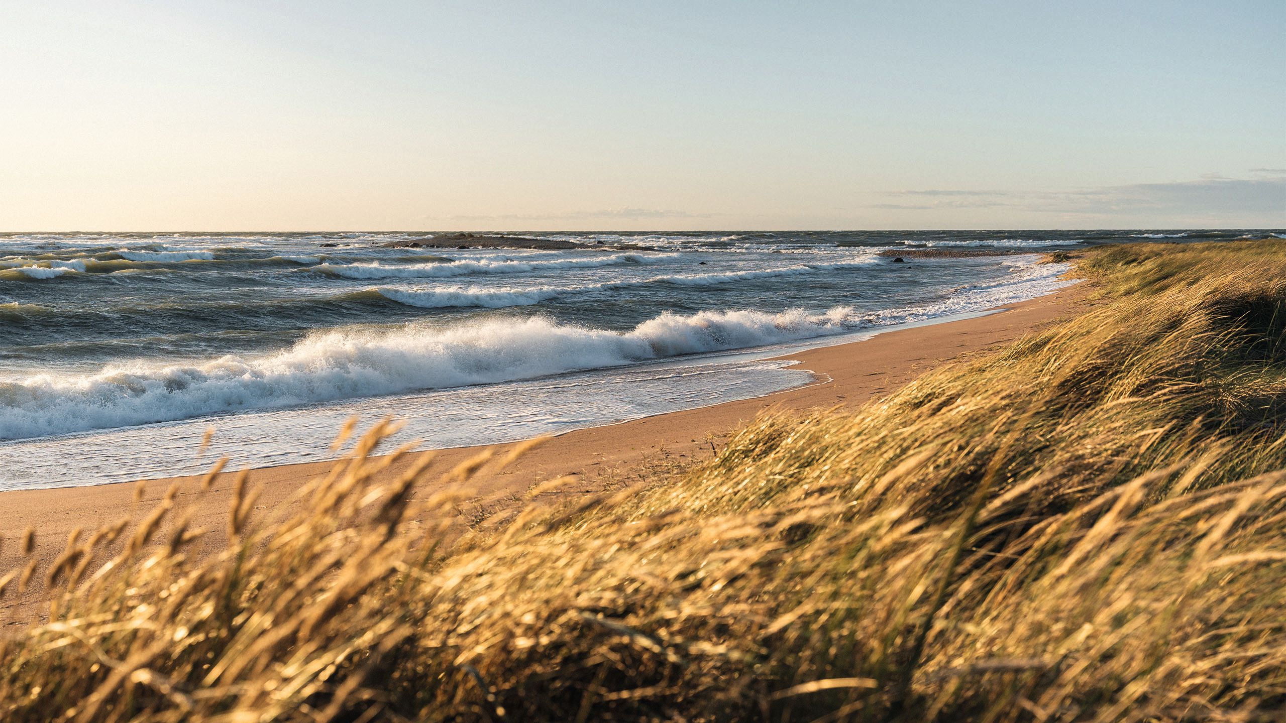 View looking across a beach with grass in the foreground