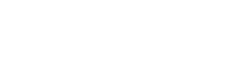 Voly logo